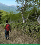 HokkaidoWilds.org Ichankoppe-yama Hiking Route (Lake Shikotsu, Hokkaido, Japan) digital map