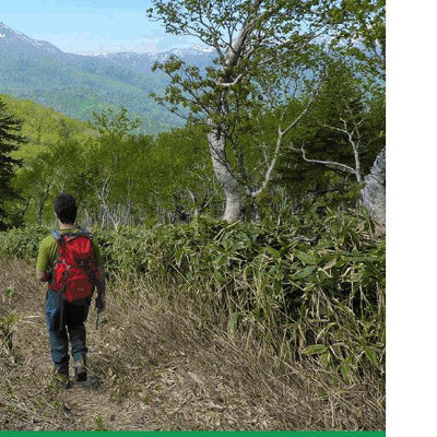 HokkaidoWilds.org Ichankoppe-yama Hiking Route (Lake Shikotsu, Hokkaido, Japan) digital map