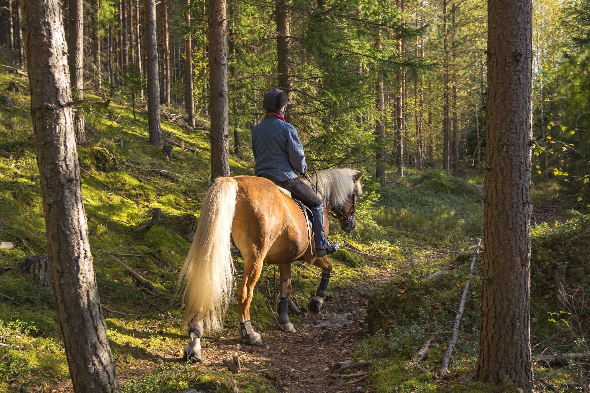 Woman horseback riding through a forest trail