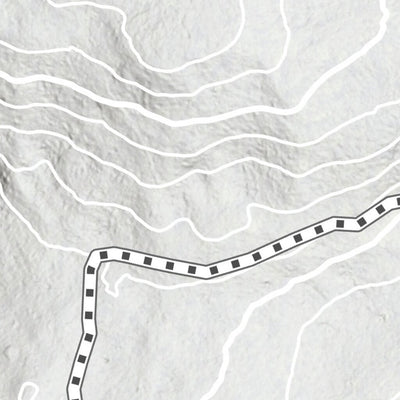 Lanford Wood Community Forest Preview 2