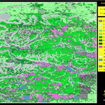 Hunt-A-Moose DO05AM_Division No. 19 ( Hunt-A-Moose ) digital map