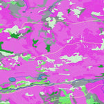 Hunt-A-Moose DO27SS_Birch River Wildland Provincial Park ( Hunt-A-Moose ) digital map