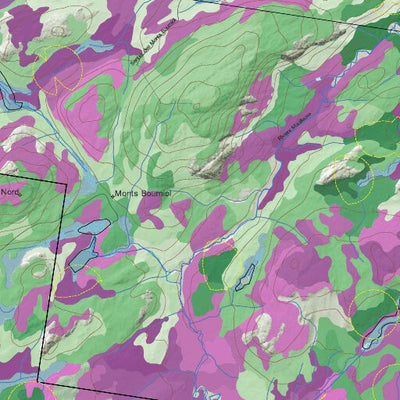Hunt-A-Moose FN08GH Lac Bourniol ( Hunt-A-Moose ) digital map