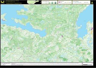 FN19LS Baie Laurent ((Hunt-A-Moose)) Preview 1
