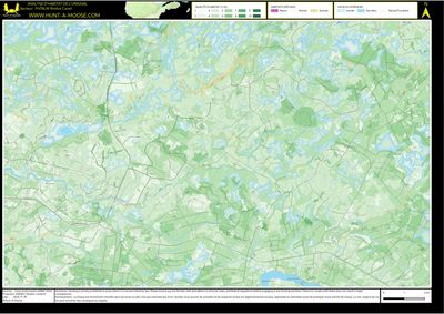 FN19LW Riviere Canet ((Hunt-A-Moose)) Preview 1