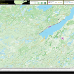 FN19RG Lac Pusticamica ((Hunt-A-Moose)) Preview 1
