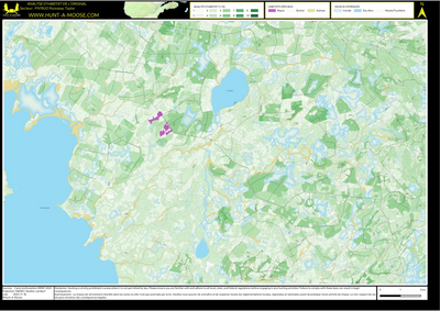 FN19UO Ruisseau Taylor ((Hunt-A-Moose)) Preview 1