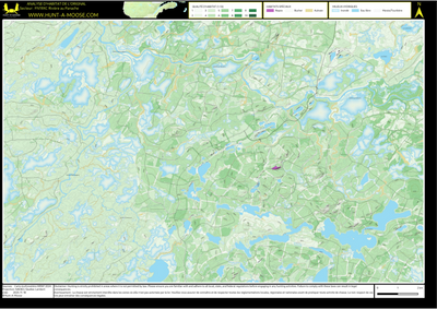 FN19XC Riviere au Panache ((Hunt-A-Moose)) Preview 1