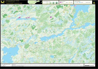 FN19XK Lac Lichen ((Hunt-A-Moose)) Preview 1