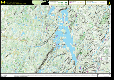 FN25OT Baie Hemlock ((Hunt-A-Moose)) Preview 1