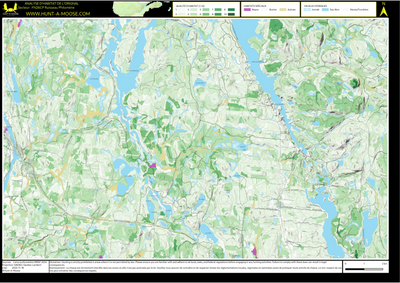 FN26CP Ruisseau Philomene ((Hunt-A-Moose)) Preview 1