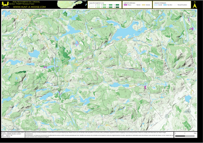 FN26FT Ruisseau Fraser ((Hunt-A-Moose)) Preview 1