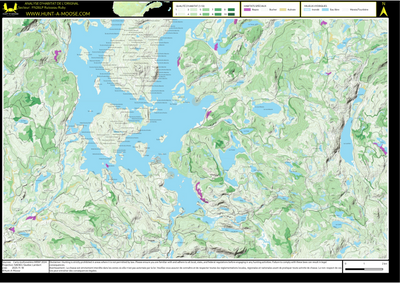 FN26LP Ruisseau Ruby ((Hunt-A-Moose)) Preview 1
