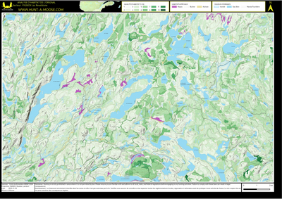 FN26OX Lac Revelstone ((Hunt-A-Moose)) Preview 1