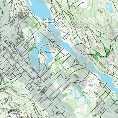 FN26UH Lac Simon ((Hunt-A-Moose)) Preview 3