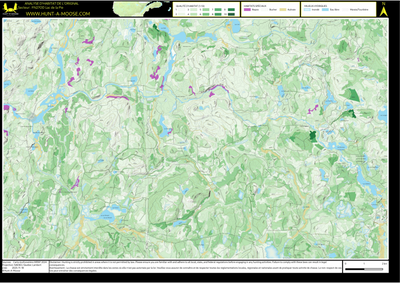 FN27OD Lac de la Pie ((Hunt-A-Moose)) Preview 1