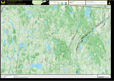 FN27UW Lac Fox ((Hunt-A-Moose)) Preview 1