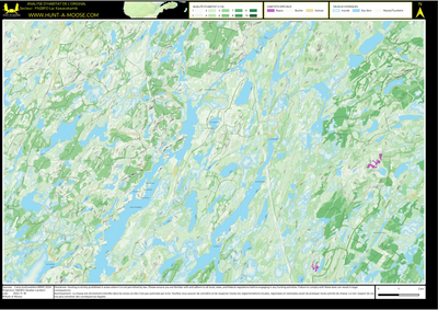 FN28FO Lac Kawacekamik ((Hunt-A-Moose)) Preview 1