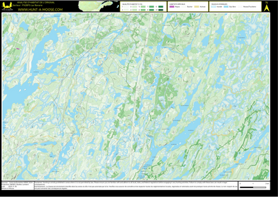 FN28FS Lac Banane ((Hunt-A-Moose)) Preview 1