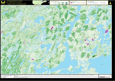 FN28IO Ruisseau Plamondon ((Hunt-A-Moose)) Preview 1