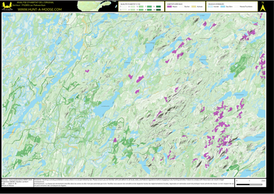 FN28IS Lac Pakwecikan ((Hunt-A-Moose)) Preview 1
