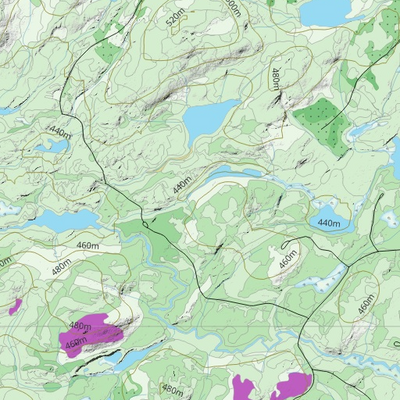 FN28LW Lac Marceau ((Hunt-A-Moose)) Preview 3