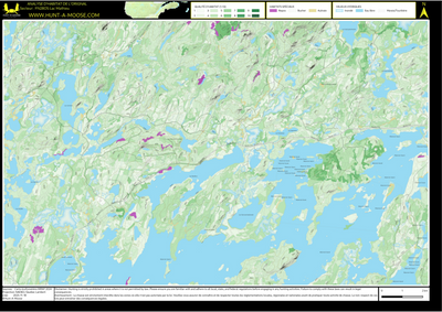 FN28OS Lac Mathieu ((Hunt-A-Moose)) Preview 1