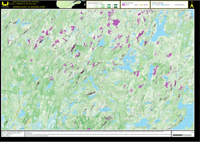 FN28RW Lac Micta Nimepar ((Hunt-A-Moose)) Preview 1
