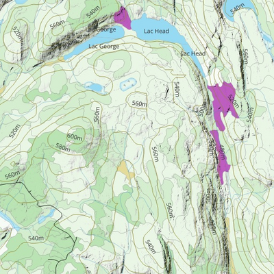 FN28XC Lac Little Monk ((Hunt-A-Moose)) Preview 2