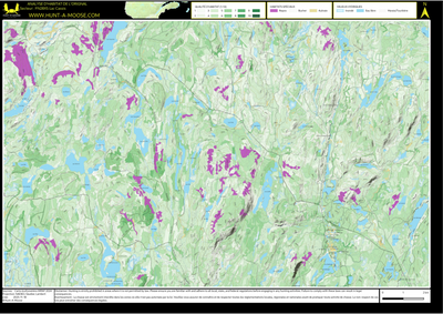 FN28XS Lac Cassis ((Hunt-A-Moose)) Preview 1
