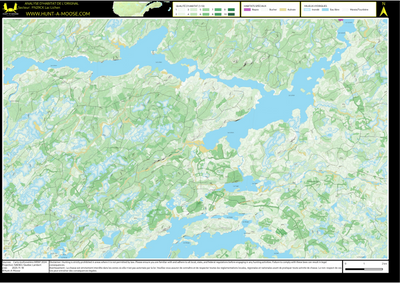 FN29CK Lac Lichen ((Hunt-A-Moose)) Preview 1