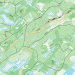 FN29CK Lac Lichen ((Hunt-A-Moose)) Preview 3