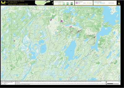 FN29LG Lac Eva ((Hunt-A-Moose)) Preview 1