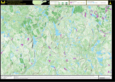 FN36CX Petit lac Guenard ((Hunt-A-Moose)) Preview 1