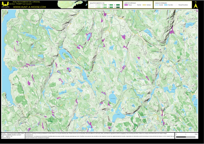 FN36FT Lac Couvert ((Hunt-A-Moose)) Preview 1