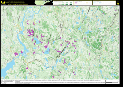 FN37CS Ruisseau Montachingue ((Hunt-A-Moose)) Preview 1