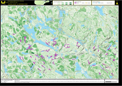 FN37FD Lac Jean ((Hunt-A-Moose)) Preview 1