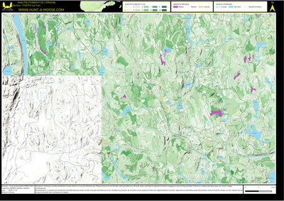 FN37FO Lac Foin ((Hunt-A-Moose)) Preview 1