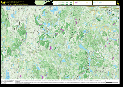 FN37IW Lac Giguere ((Hunt-A-Moose)) Preview 1