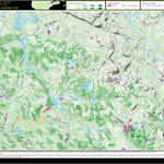 FN37LH Petit lac a la Truite ((Hunt-A-Moose)) Preview 1