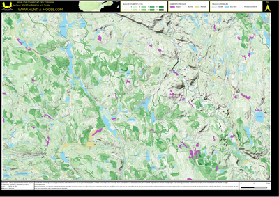 FN37LH Petit lac a la Truite ((Hunt-A-Moose)) Preview 1