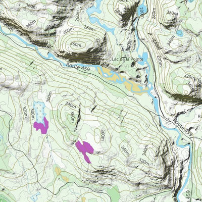 FN37LH Petit lac a la Truite ((Hunt-A-Moose)) Preview 3