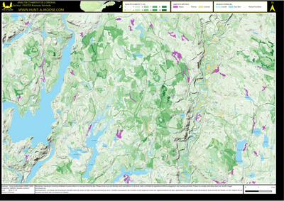 FN37OS Ruisseau Kennedy ((Hunt-A-Moose)) Preview 1