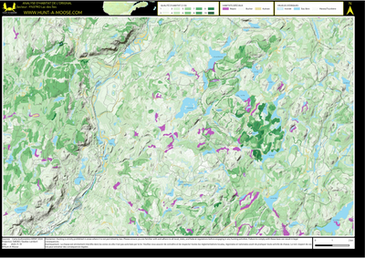 FN37RO Lac des Iles ((Hunt-A-Moose)) Preview 1