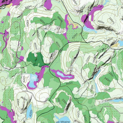 FN37US Lac sur la Montagne ((Hunt-A-Moose)) Preview 3