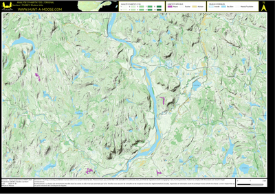 FN38CC Riviere Jolie ((Hunt-A-Moose)) Preview 1
