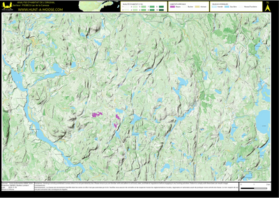 FN38CG Lac de la Caresse ((Hunt-A-Moose)) Preview 1