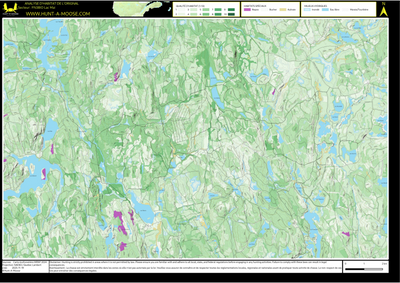 FN38IO Lac Mai ((Hunt-A-Moose)) Preview 1