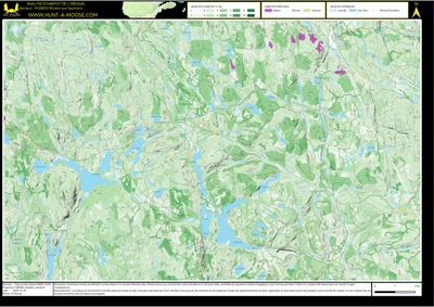 FN38OO Riviere aux Saumons ((Hunt-A-Moose)) Preview 1