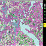 Hunt-A-Moose FN39DD Lac Ideal ( Hunt-A-Moose ) digital map
